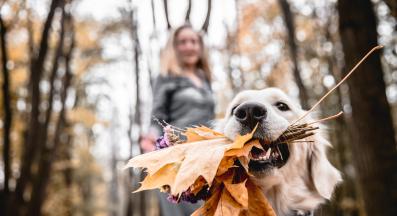 куче човек щастие