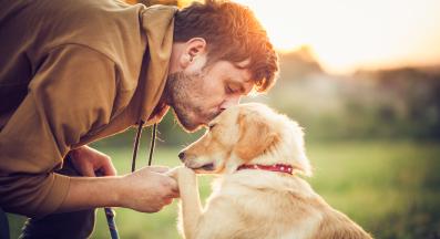 куче човек щастие