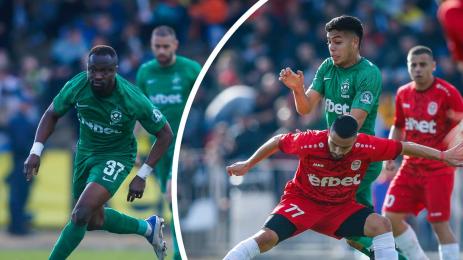 Розова долина Лудогорец