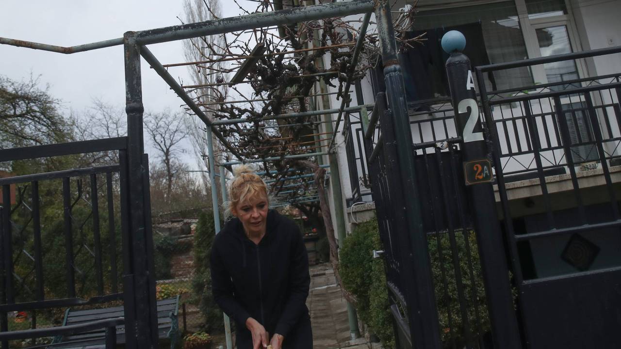 кучето Мечо