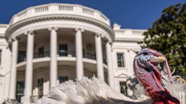 Байдън помилва две пуйки по случай Деня на благодарността (СНИМКИ)