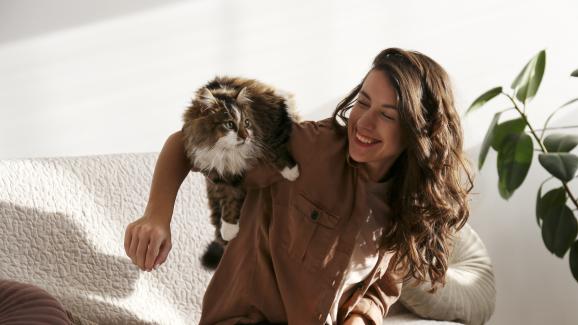 7 причини, защо котката изведнъж не се „отлепва“ от вас