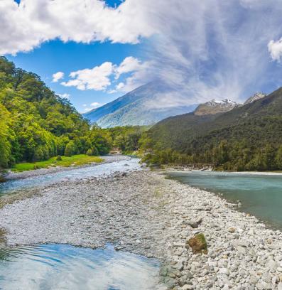 Нова Зеландия