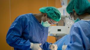 Хирурзи в САЩ трансплантираха модифициран свински бъбрек на жив човек