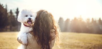 4 научно доказани физически и социални ползи от отглеждането на куче
