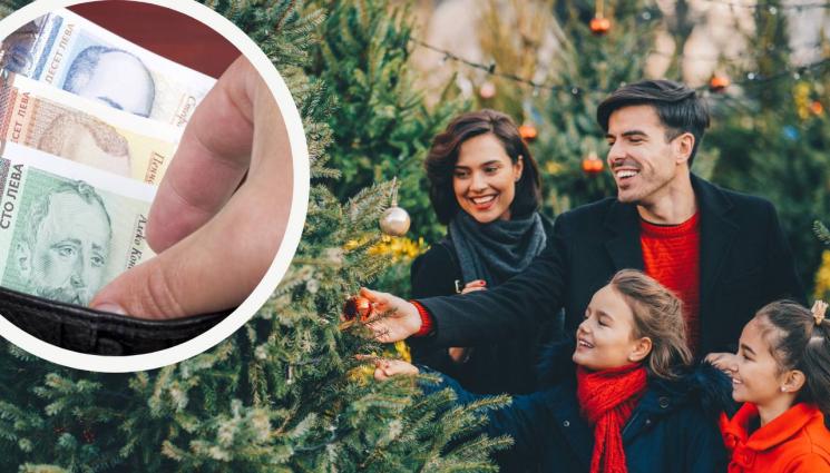 елха цена - ПОД НАЕМ ЗА КОЛЕДА: Жива елха идва на гости за 150 лв.