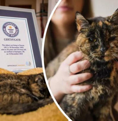 Фолси най възрастната котка в света