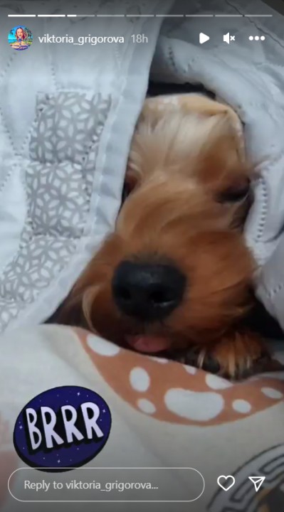 куче Виктория Игри на волята