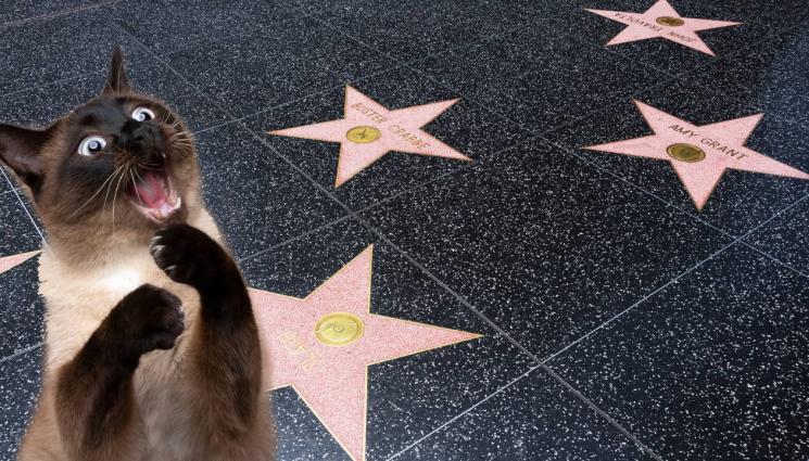 Холивуд скандал - Звездните скандали, които никой не помни (СНИМКИ)