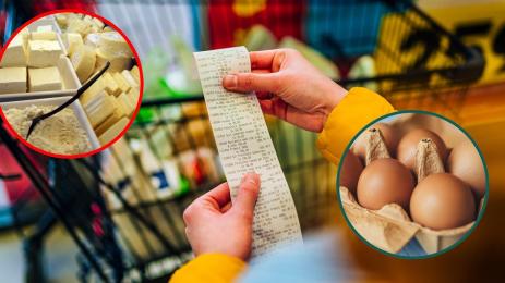 магазин сирене кашкавал яйца