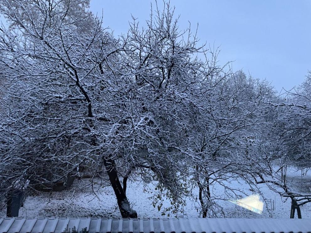  първи сняг в София 