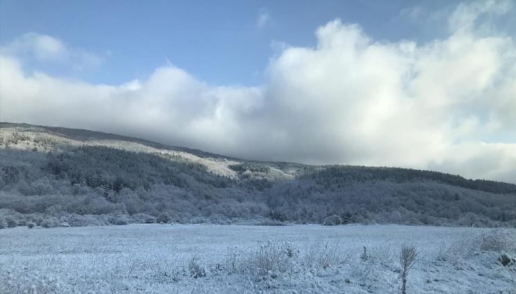 полета - Агро Телеграф: Нощен студ спира вегетацията на житните