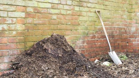 Компост шума