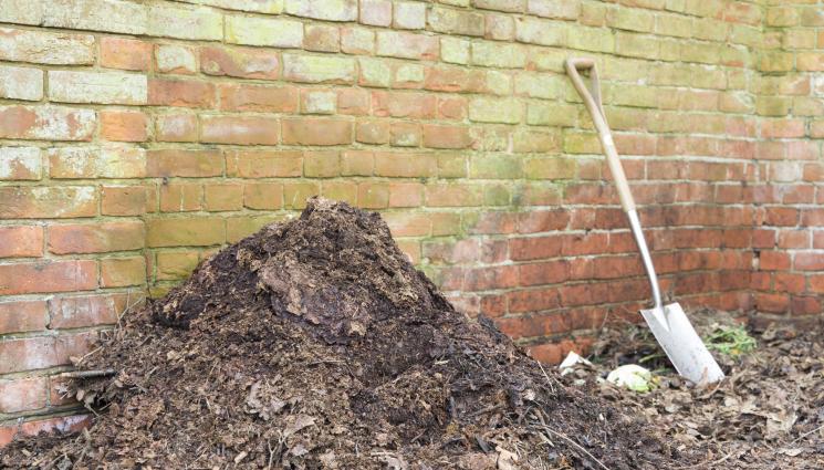 Компост шума - Агро Телеграф: Компостът от шума става за 1 г.