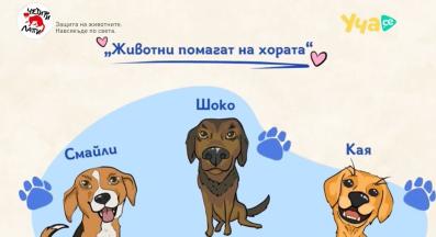 животни терапевти