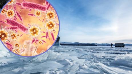 зомби вирус