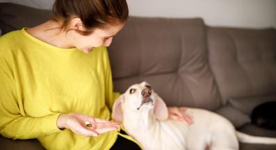 куче витамини