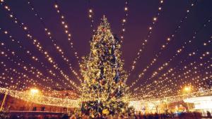 Коледният дух официално пристига в София на 1 декември Столична