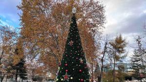 Светлините на Коледната елха ще блеснат на 2 декември  когато се честват 131 години от обявяването