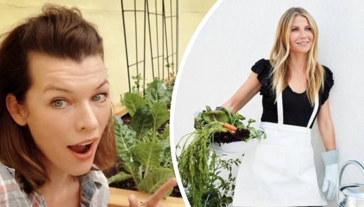 Мила Йовович Гуинет Полтроу - ГРАДИНАРКИТЕ НА ХОЛИВУД: Актриси се фукат с краставици