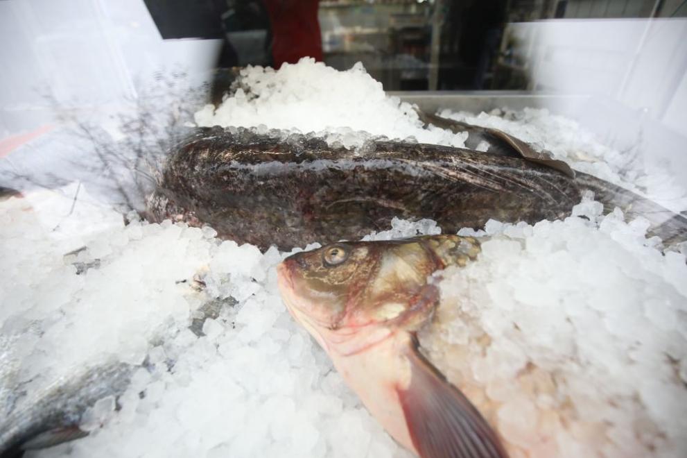  рибен магазин риба Никулден 