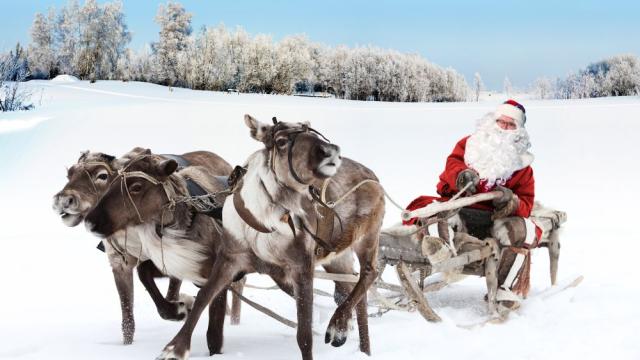 Зрението на северните елени е еволюирало, за да виждат любимата си храна