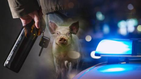 пиян шофьор прасе