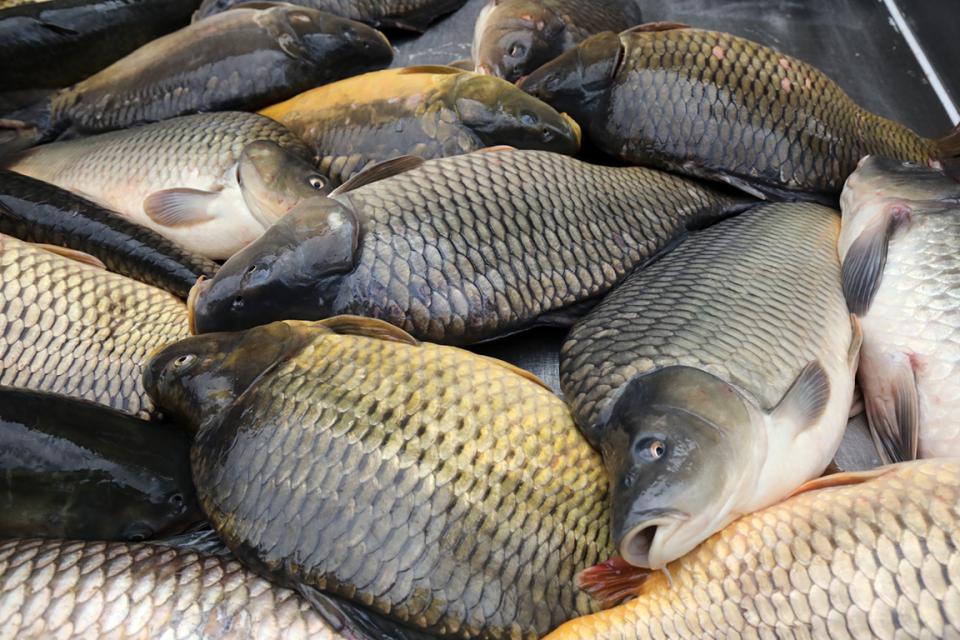 На 6 декември празнуваме Никулден. Празникът е в чест на Свети Николай Мирликийски Чудотворец, който е покровител на моретата, езерата и реките, на моряците и рибарите, на семейството и рода.