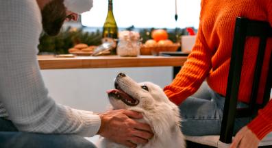 куче Коледа