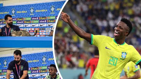 Винисиус котка