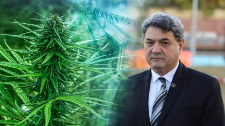 Петър Тодоров марихуана