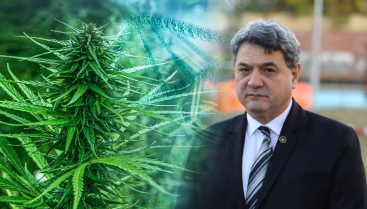 Петър Тодоров марихуана - МВР В ДЕЙСТВИЕ: 252 задържани при акция „Бяло“