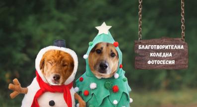 Благотворителен коледен базар