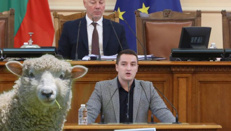 Божанков - СЛЕД ОТЛЪЧВАНЕТО: Явор Божанков си татуира овца с папийонка (СНИМКИ)