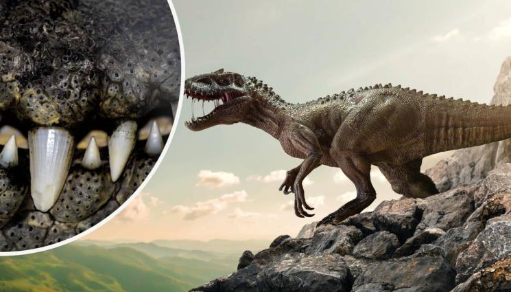 динозавър - МЕНЮ ЗА ГИГАНТИ: Учени изследват зъби на динозаври, за да разберат какво са обичали да си похапват