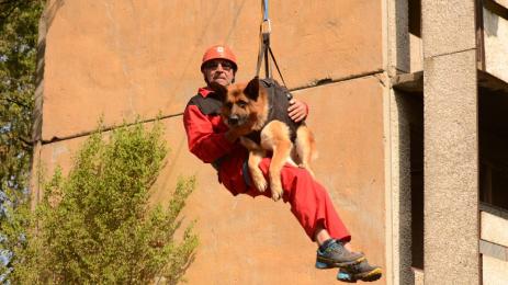 планински спасител
