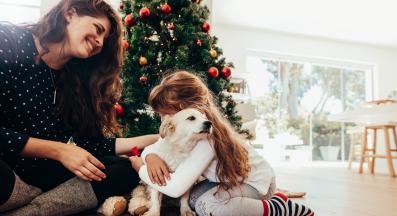 кученце Коледа