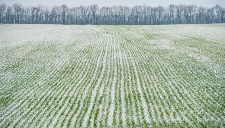агро - Агро Телеграф: Иде студ и край на вегетацията