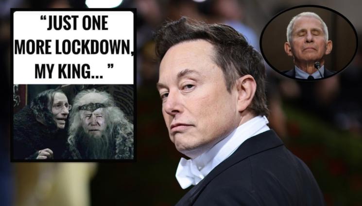 Мъск Фаучи - ЗАИГРА СЕ С ВЛАСТТА: Мъск иска съд за доктор Антъни Фаучи