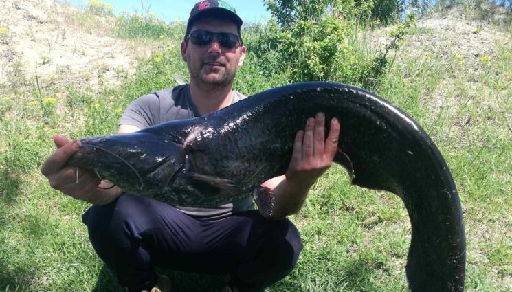 шаран - Село завидя на рибар заради огромен шаран (СНИМКИ)