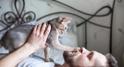 котка и собственик