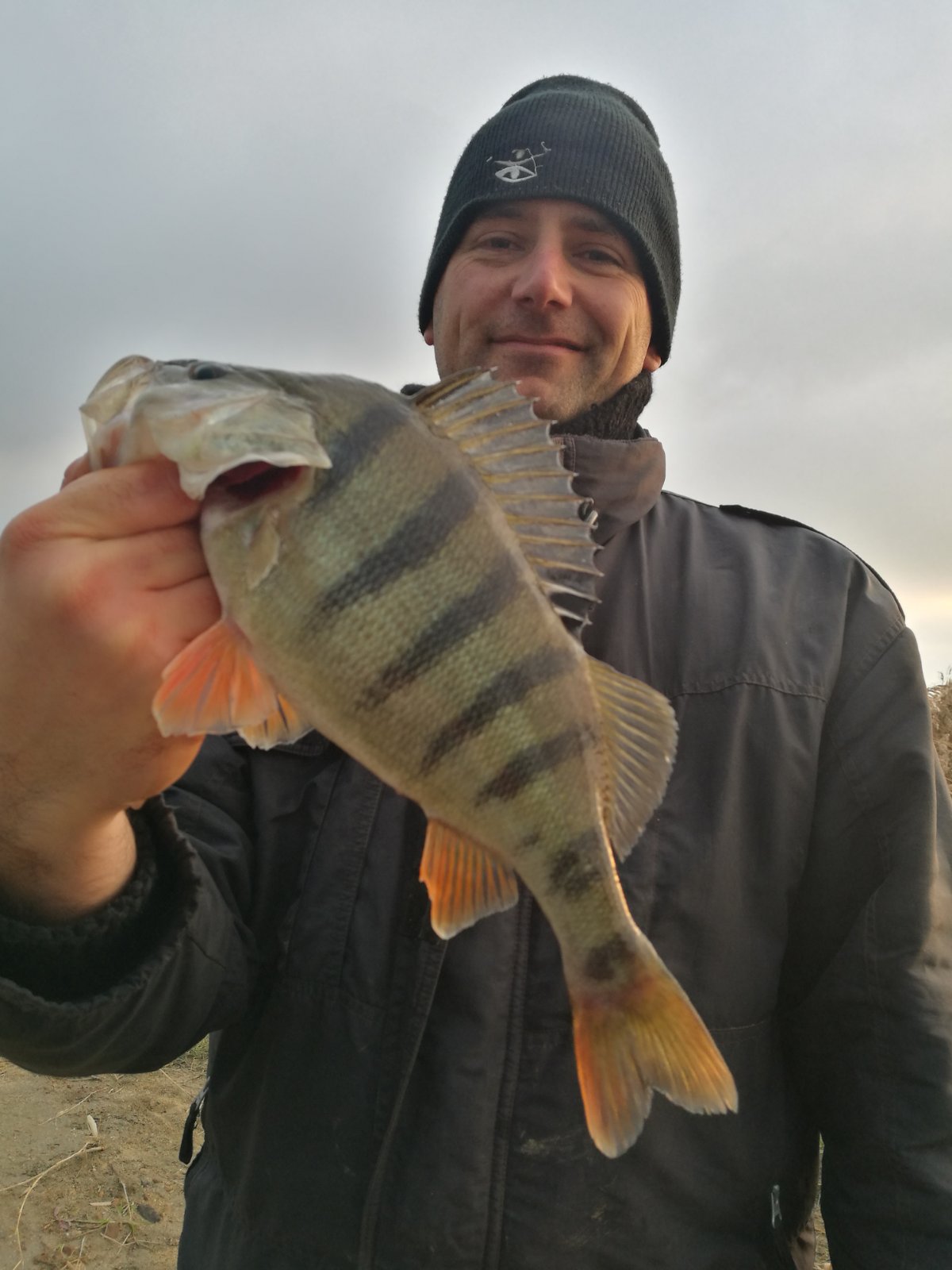 Нино Ролински