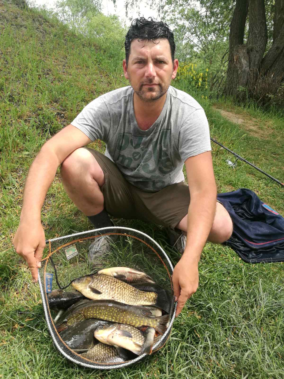 Нино Ролински