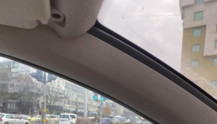 магаре варна - ЧУДО НЕВИЖДАНО: Необикновен джигит всява ужас, паникьоса цял град (ВИДЕО+СНИМКА)