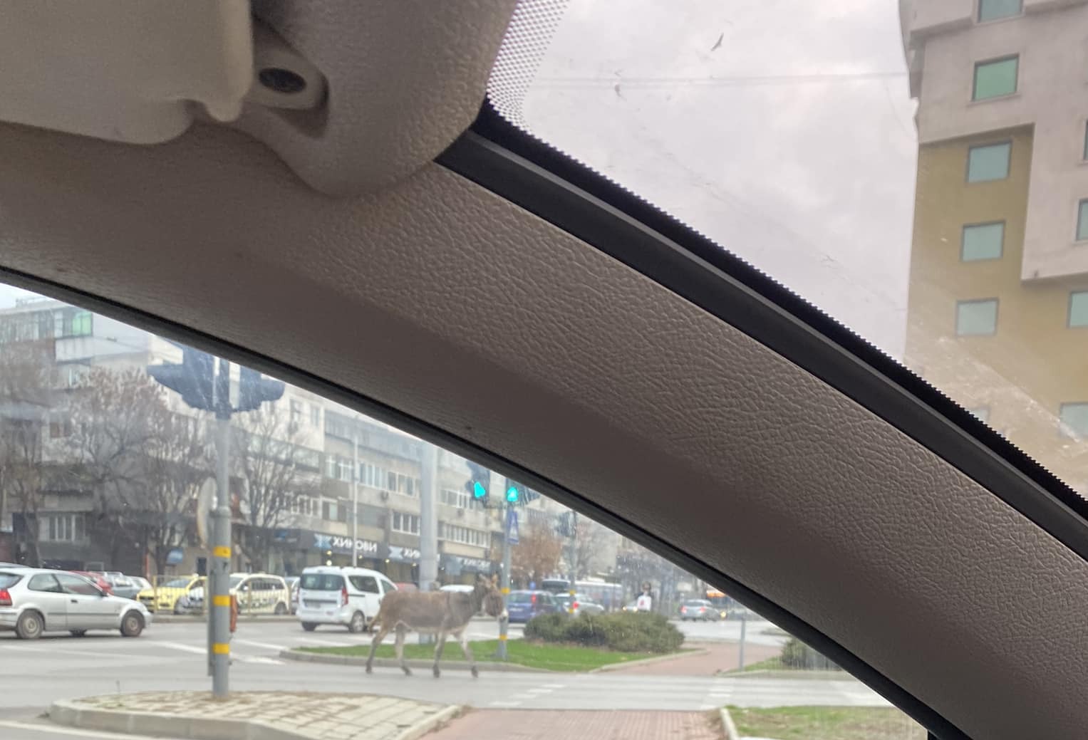 магаре варна