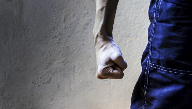 агресия бой - МАСОВО МЕЛЕ: Жители на две села се смляха от бой