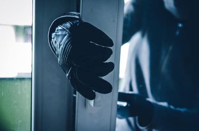 Обичайно за сезона зачестяват домовите кражби. Контингентът от София се