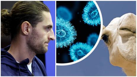 Рабио вирус камилски вирус