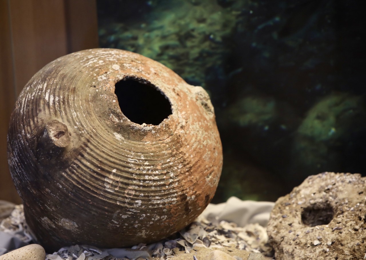 <p>Днес от 11,00 часа в Националния исторически музей вицепрезидентът Илияна Йотова откри изложбата &bdquo;Древни находки. Нови открития. Археологически сезон 2022 г.&ldquo;</p>