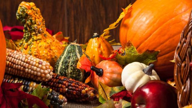 Гастроентеролог от ВМА разкри кои са суперхраните на сезона